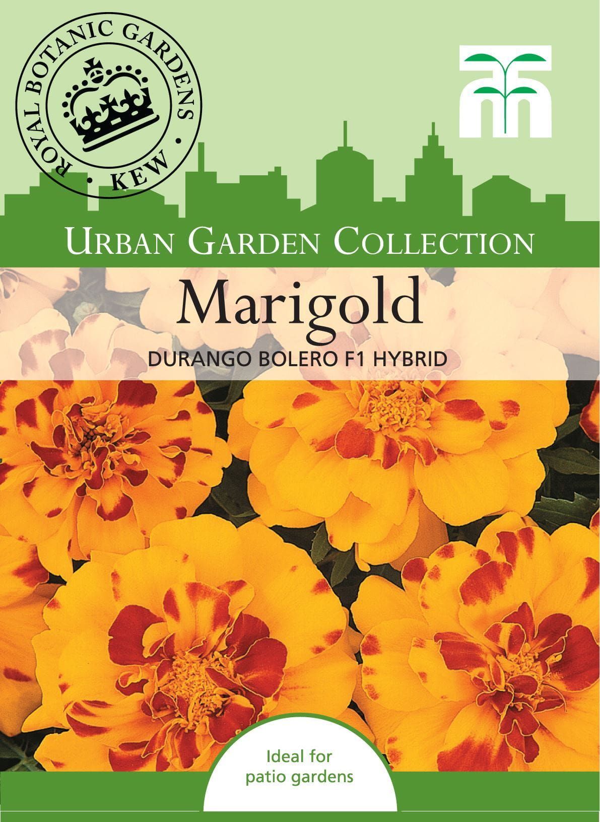 Thompson & Morgan Urban Garden Flowers Marigold Durango Bolero 30 Seed