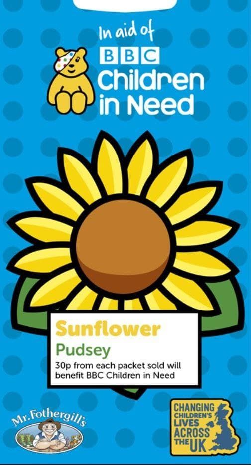 Mr Fothergills Children in Need Sunflower Pudsey 75 Seeds