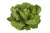 Organic Cos Lettuce Victorinus RZ (4134)