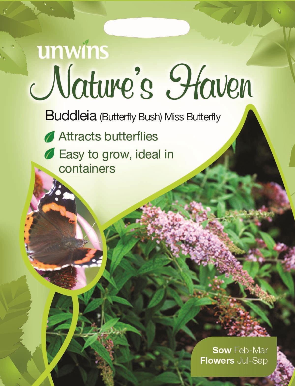 Unwins Nature's Haven Butterfly Bush Buddleia Miss Butterfly 200 Seeds