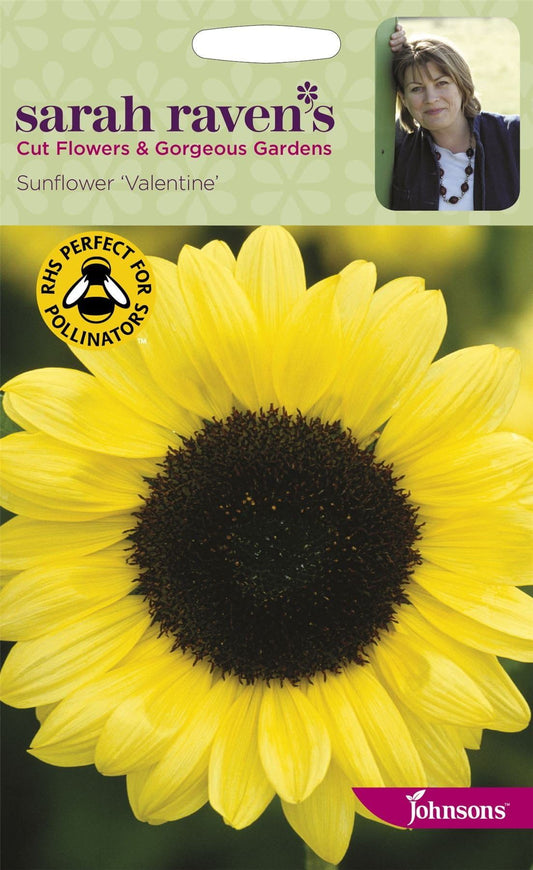 Johnsons Sarah Raven's Sunflower Valentine 25 Seeds