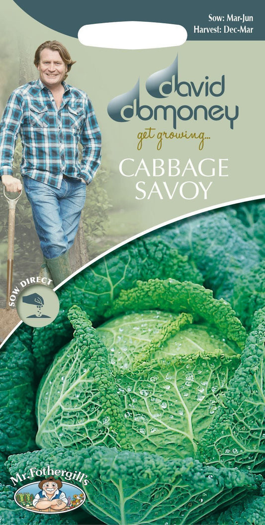 Mr Fothergills - David Domoney - Vegetable - Cabbage Savoy - Ormskirk - 400 Seeds