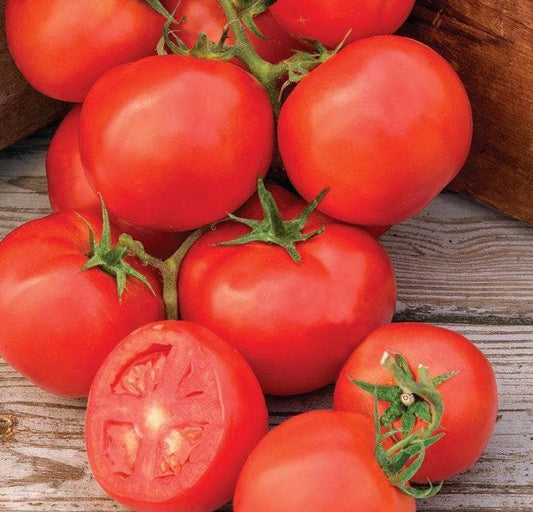 Tomato Oh Happy Day F1 Hybrid Seeds