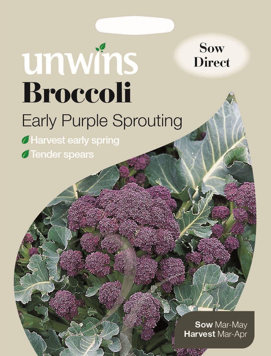 Unwins Broccoli Early Purple Sprouting 300 Seeds