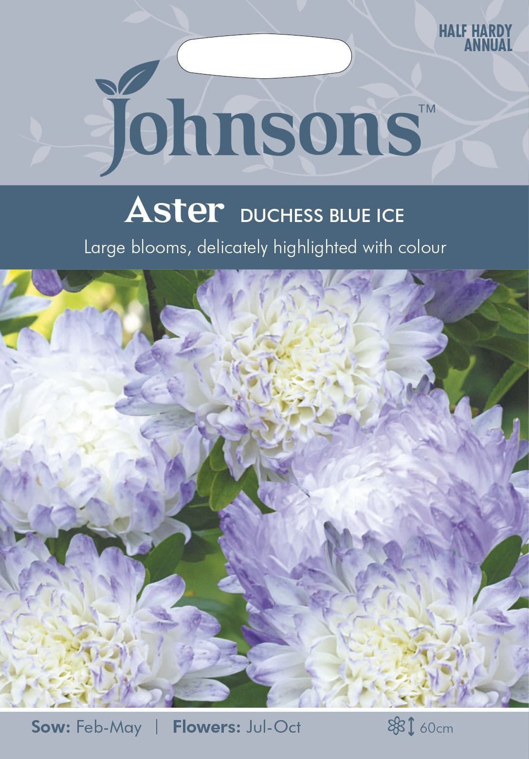Johnsons Aster Duchess Blue Ice 250 Seeds