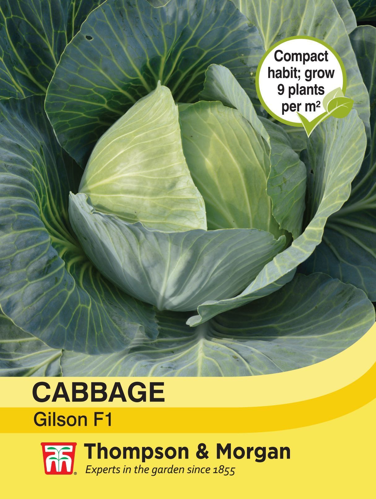 Thompson & Morgan - Vegetable - Cabbage - Gilson - 40 Seeds