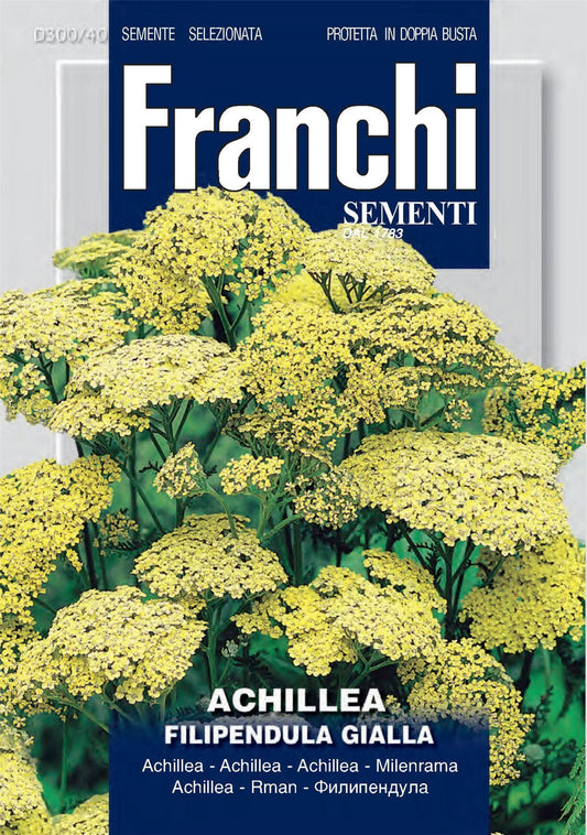 Franchi Seeds of Italy - Flower - FDBF_ 300-40 - Achillea Filipendulina - Gialla - Seeds