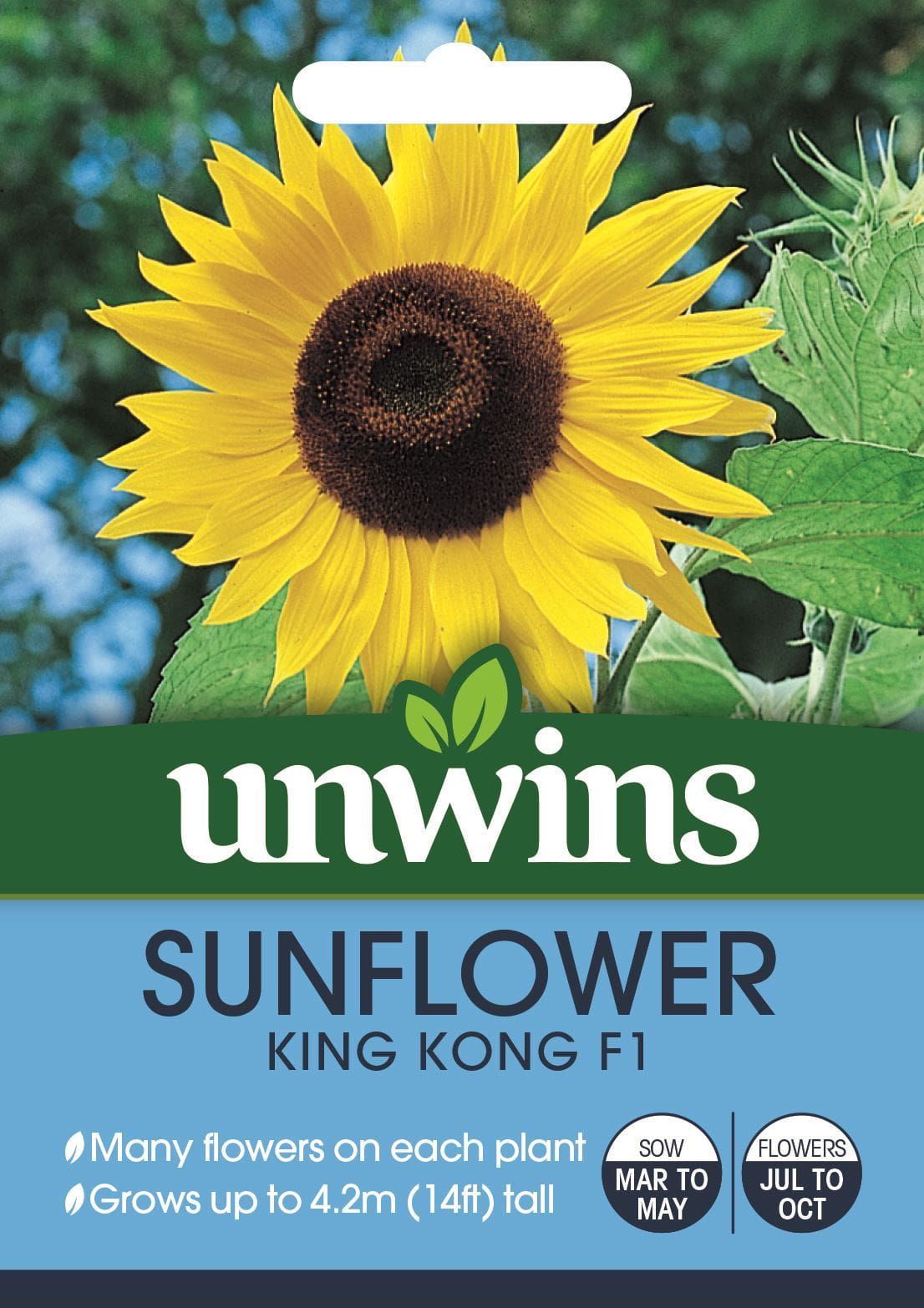 Unwins Sunflower King Kong F1 15 Seeds