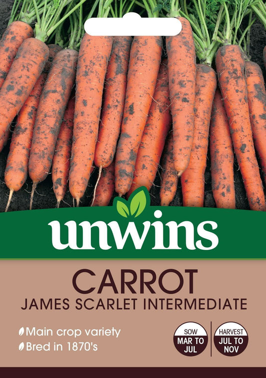 Unwins Carrot James Scarlet Intermediate 1500 Seeds