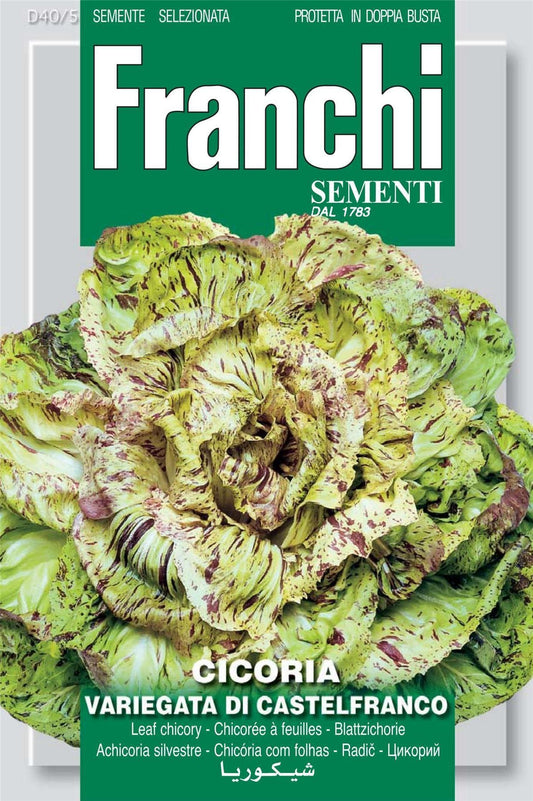 Franchi Seeds of Italy Chicory Variegata Di Castelfranco Seeds