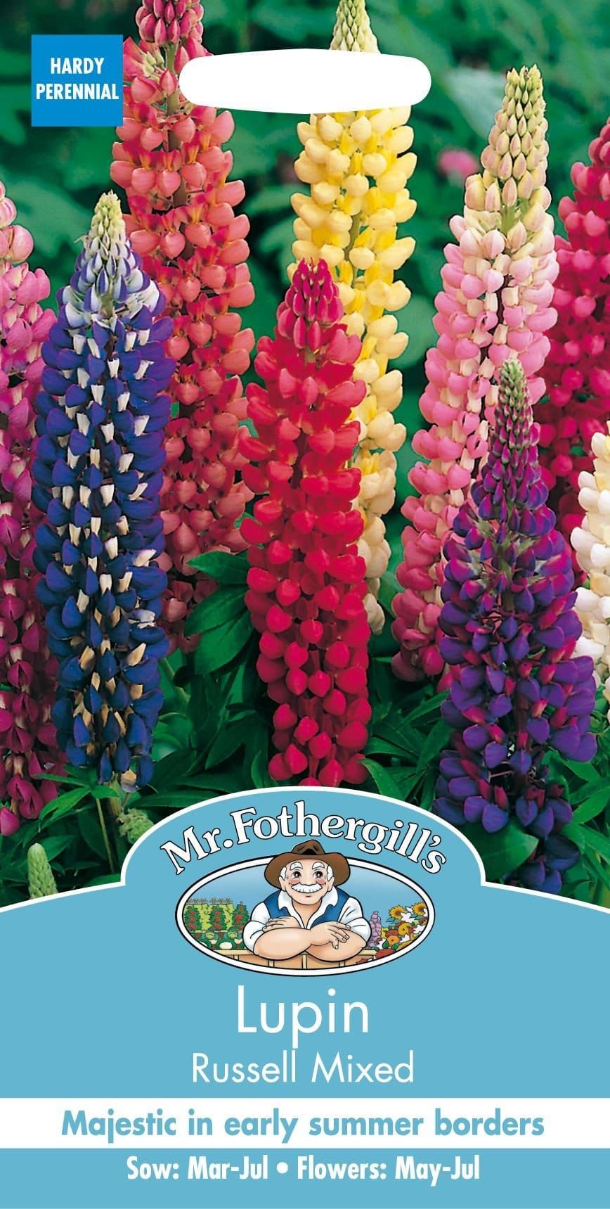 Mr Fothergills Lupin Russell Mixed 75 Seeds