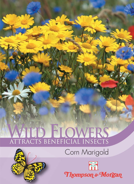 Thompson & Morgan Wild Flower Corn Marigold 200 Seed