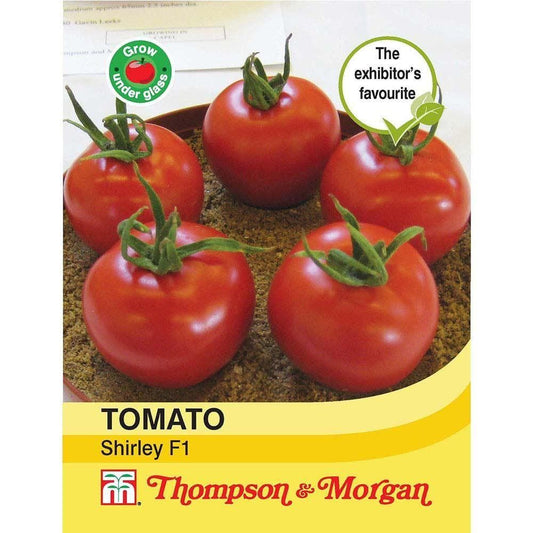 Thompson & Morgan Tomato Shirley F1 Hybrid 15 Seed