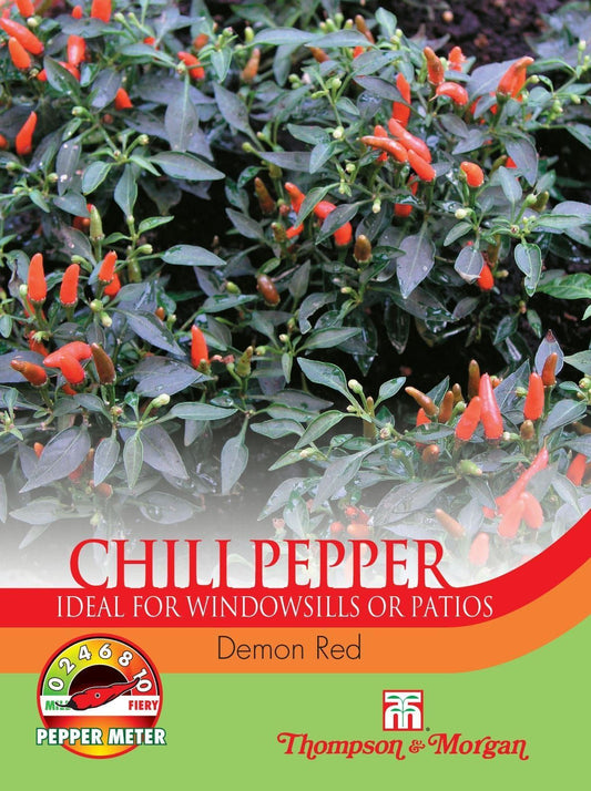 Thompson & Morgan Pepper Chilli Demon Red 6 Seed