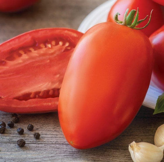 Tomato Super Mama F1 Hybrid Seeds