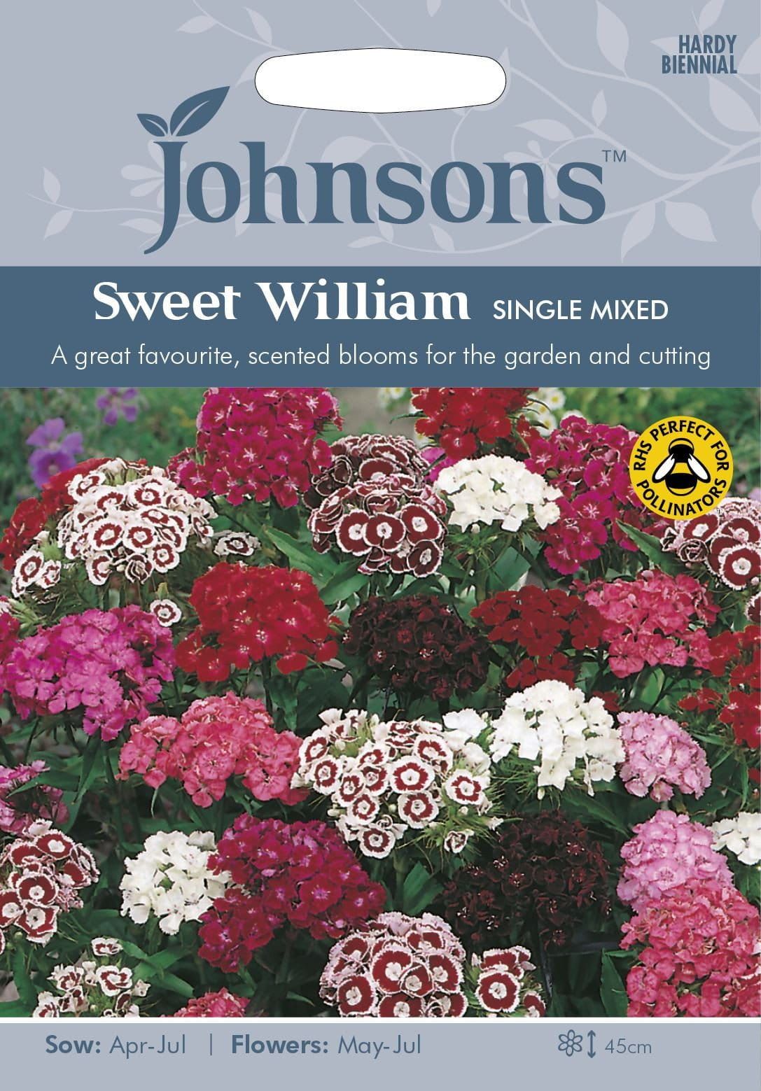 Johnsons Sweet William Single Mixed 500 Seeds
