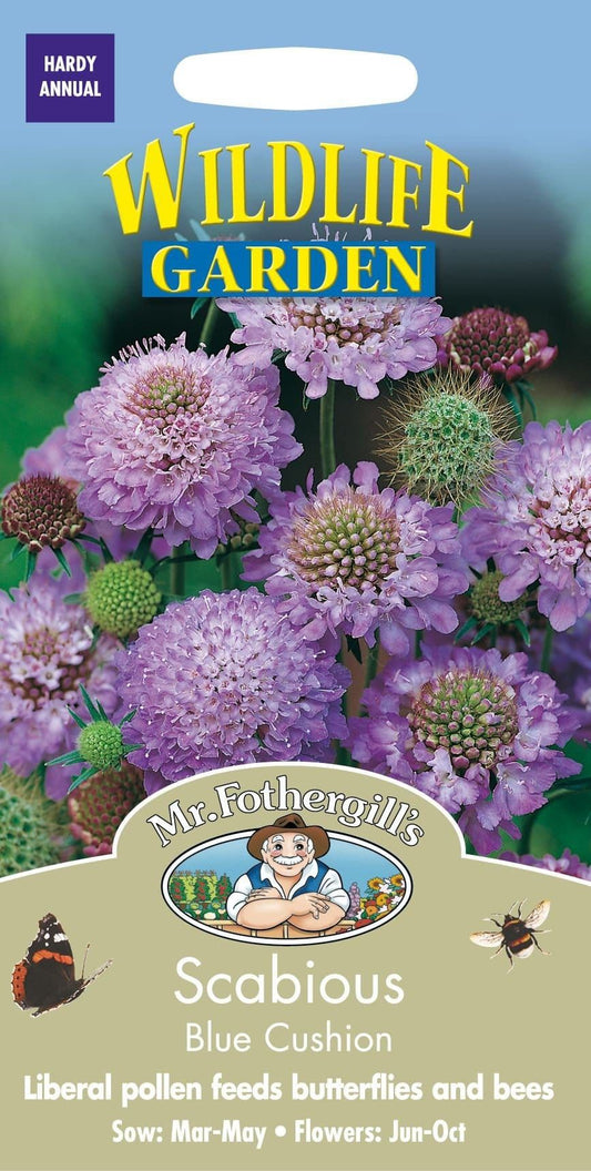 Mr Fothergills Scabious Blue Cushion 50 Seeds