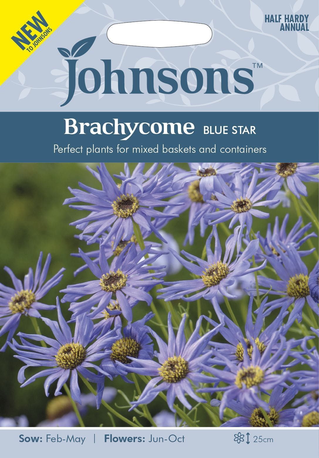 Johnsons Brachycome Blue Star 200 Seeds