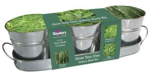 Taylors Kitchen Herb Pots Rosemary Sage Thyme Seeds Zinc Pots plusTray