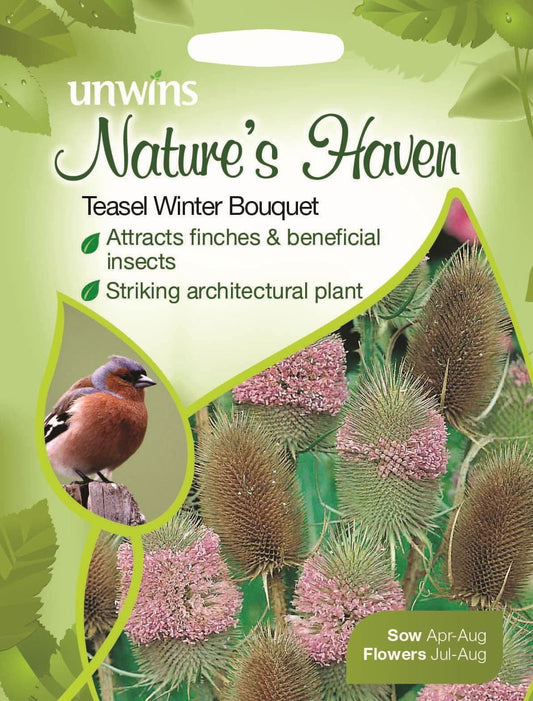 Unwins Nature's Haven Teasel Winter Bouquet 200 Seeds