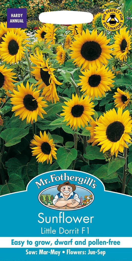 Mr Fothergills Sunflower Little Dorrit F1 25 Seeds