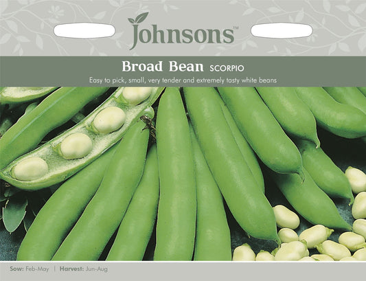 Johnsons Broad Bean Scorpio 50 Seeds