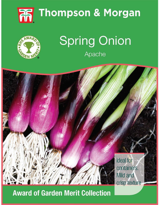 Thompson & Morgan RHS Spring Onion Apache (Deep Purple) 450 Seed