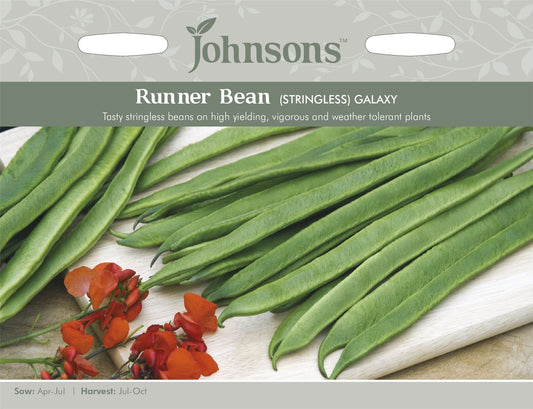 Johnsons Runner Bean Galaxy 50 Seeds