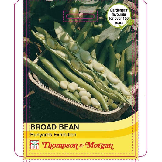 Thompson & Morgan Broad Bean Bunyards Exhibition 30 Seed