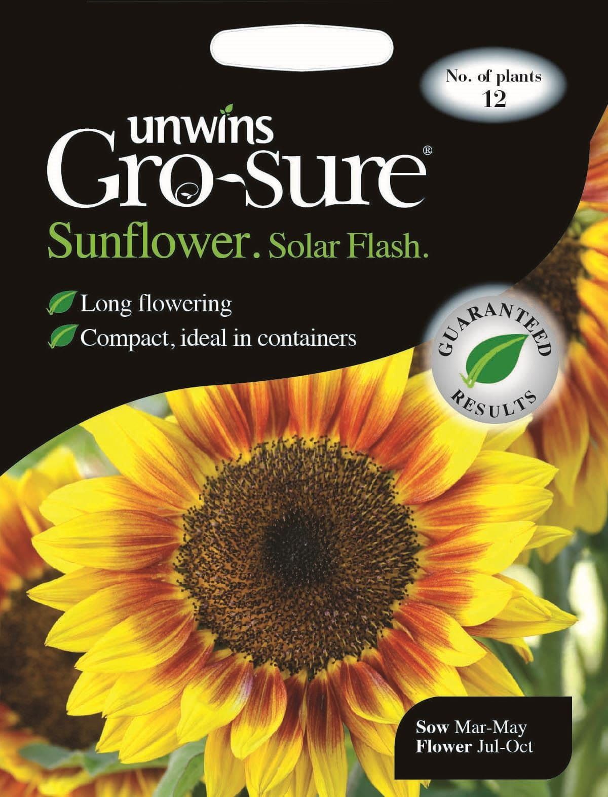 Unwins SunSolar Flash F1 12 Seeds