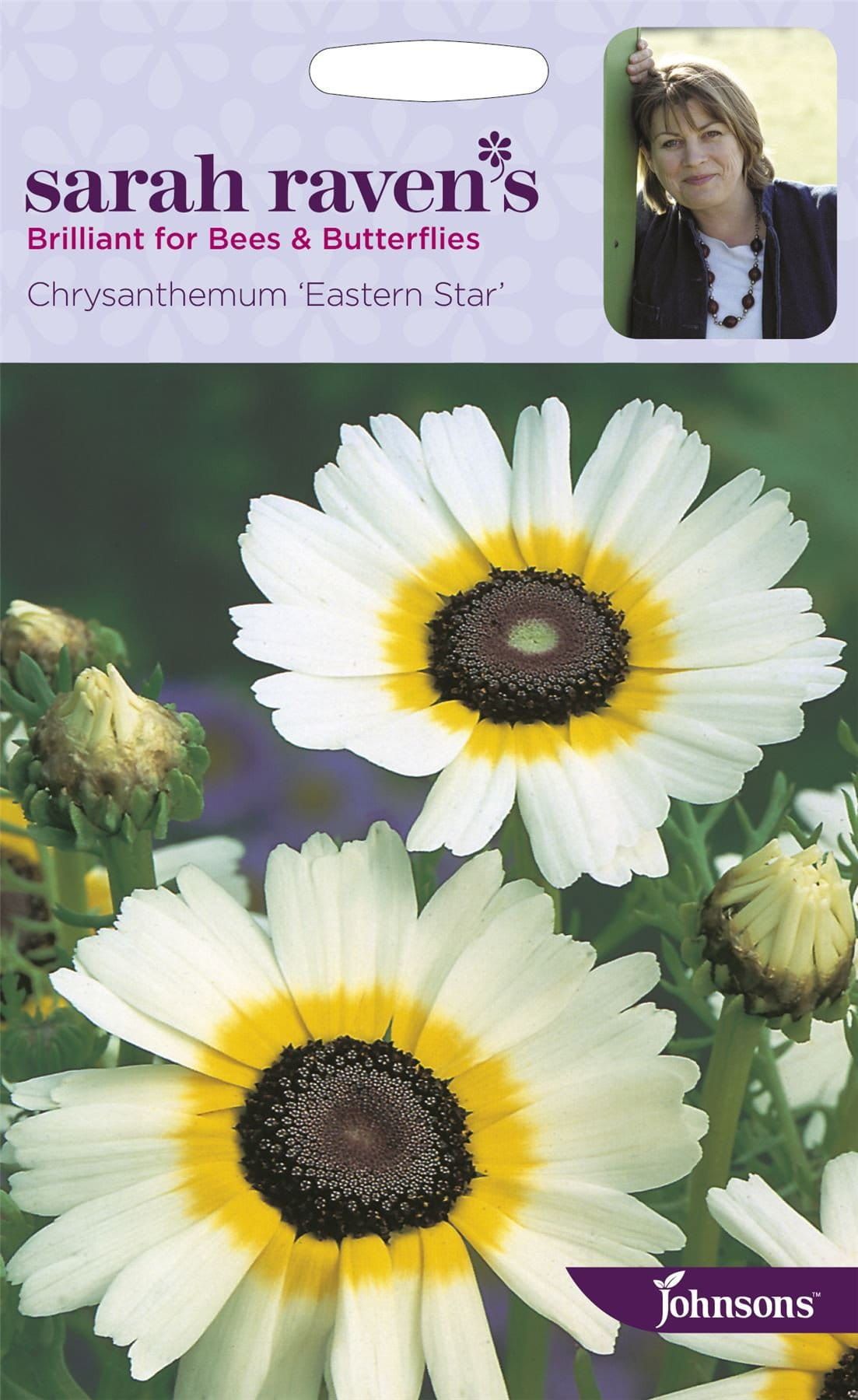 Johnsons Sarah Raven's Chrysanthemum Eastern Star 200 Seeds