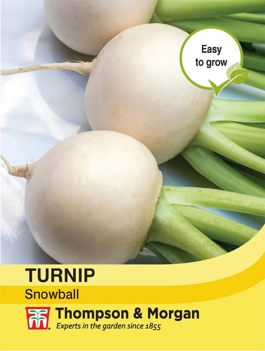 Thompson & Morgan Turnip Snowball 1000 Seed