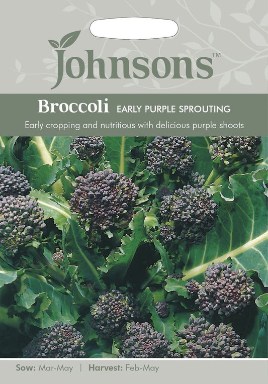 Johnsons Sprouting Broccoli Early purple 500 Seeds