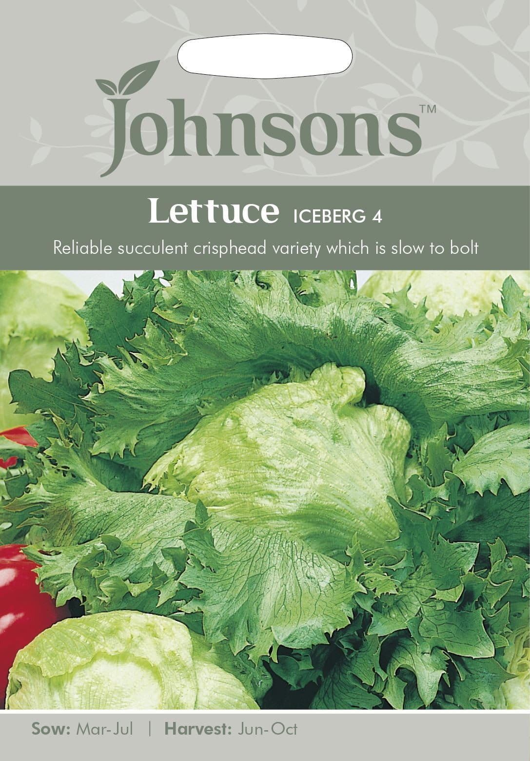 Johnsons Lettuce Iceberg 4 1500 Seeds