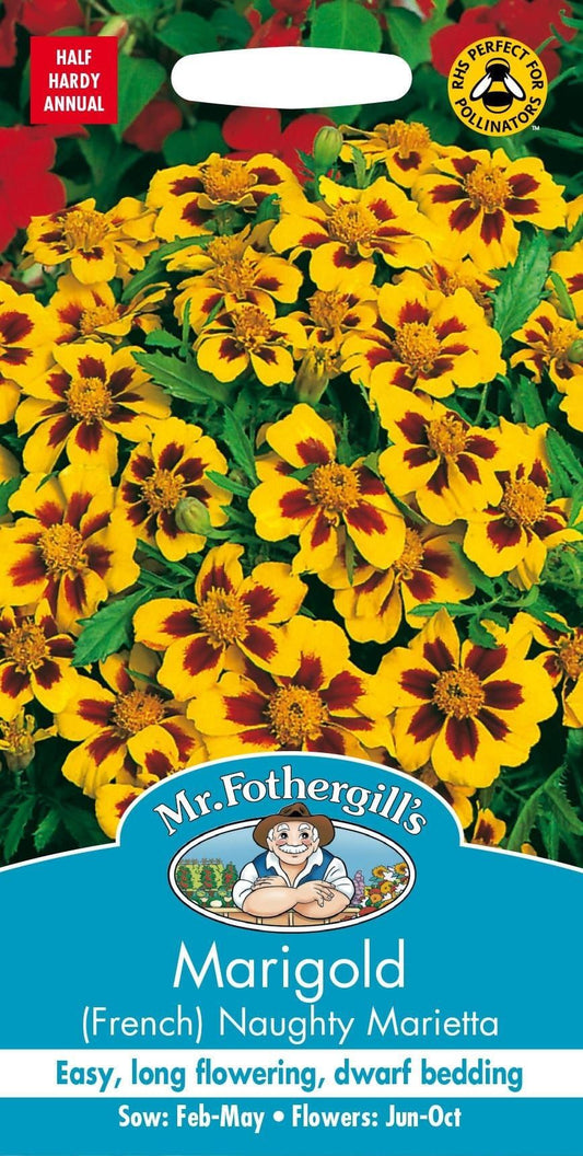 Mr Fothergills Marigold (French) Naughty Marietta 90 Seeds