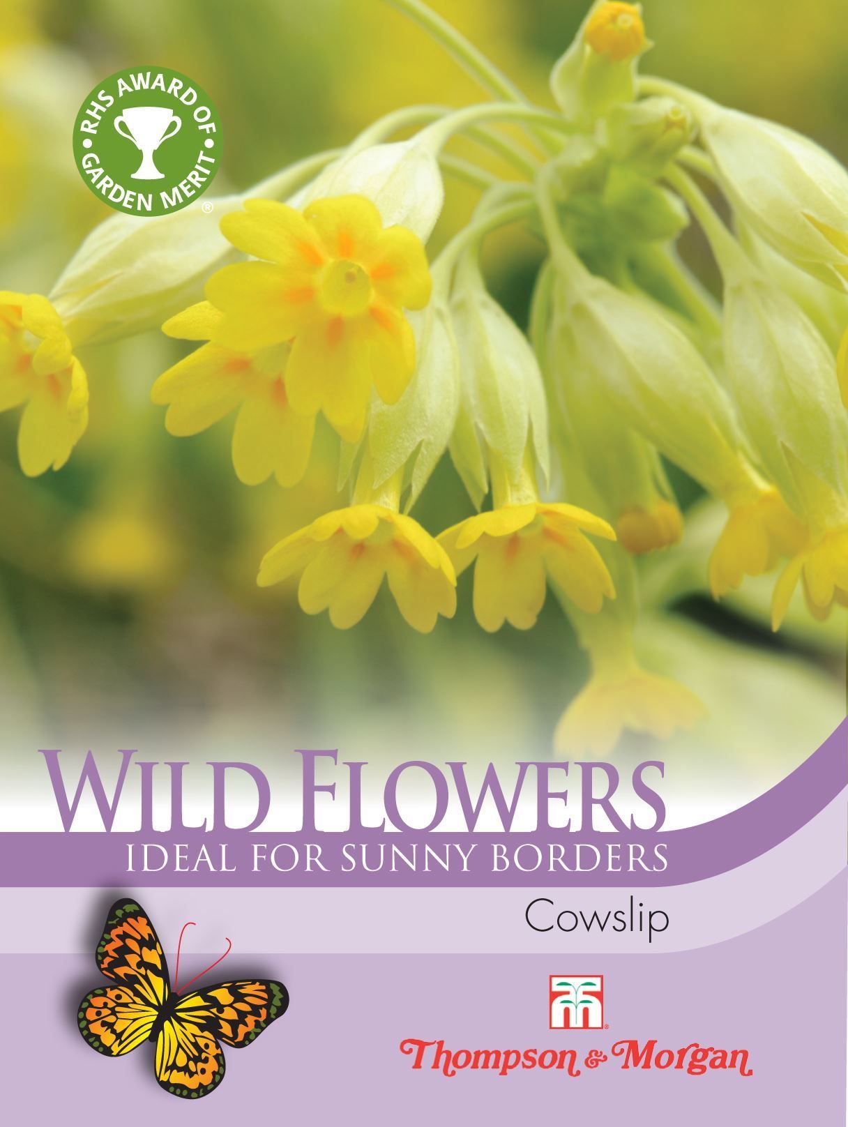 Thompson & Morgan Wild Flower Cowslips (Primula Veris) 140 Seed