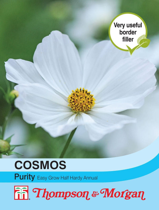 Thompson & Morgan Cosmos Purity 100 Seed