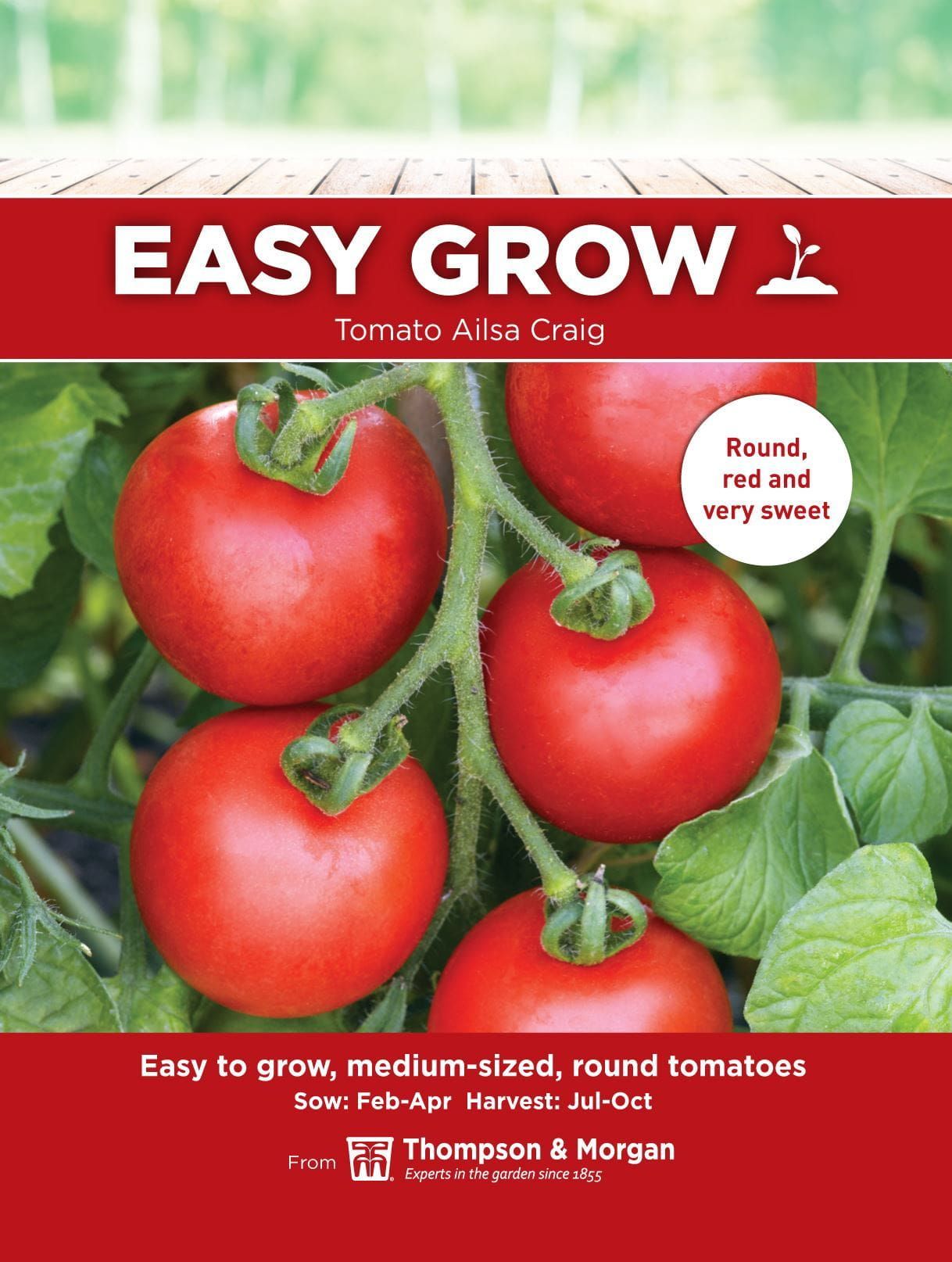 Thompson & Morgan - EasyGrow - Vegetable - Tomato - Ailsa Craig - 50 Seeds