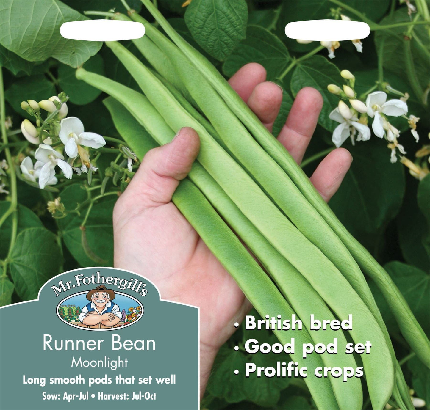 Mr Fothergills Runner Bean Moonlight 45 Seeds