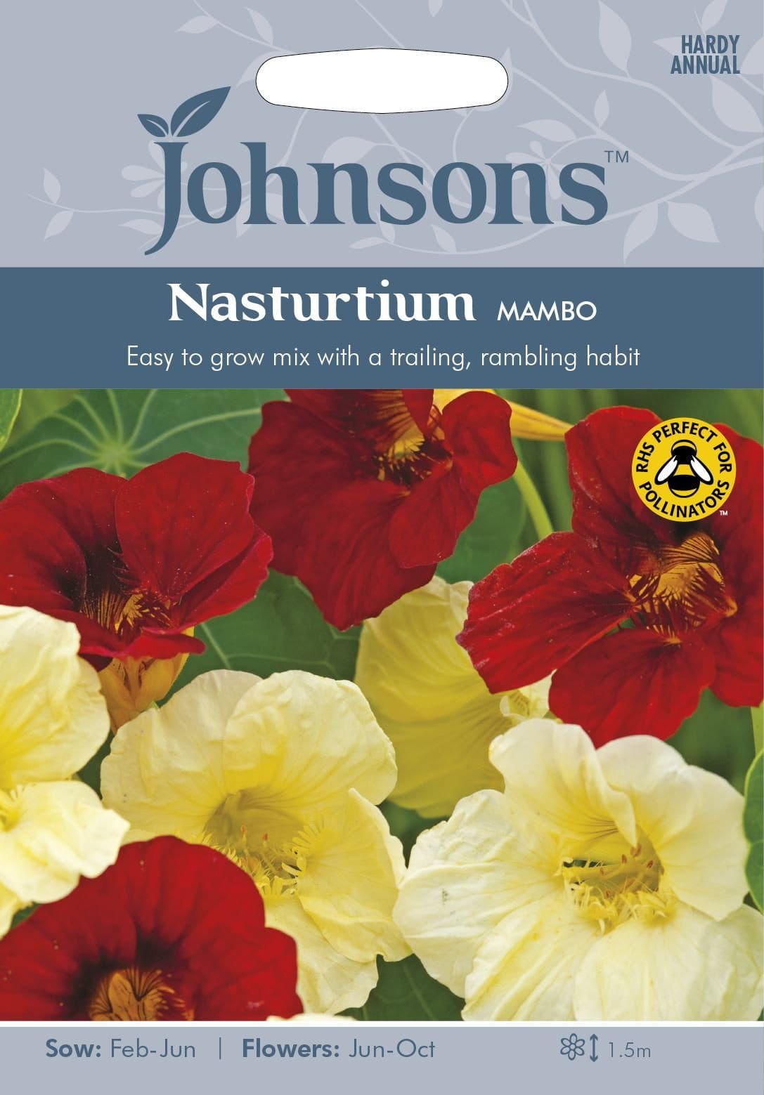 Johnsons Nasturtium Mambo 25 Seeds