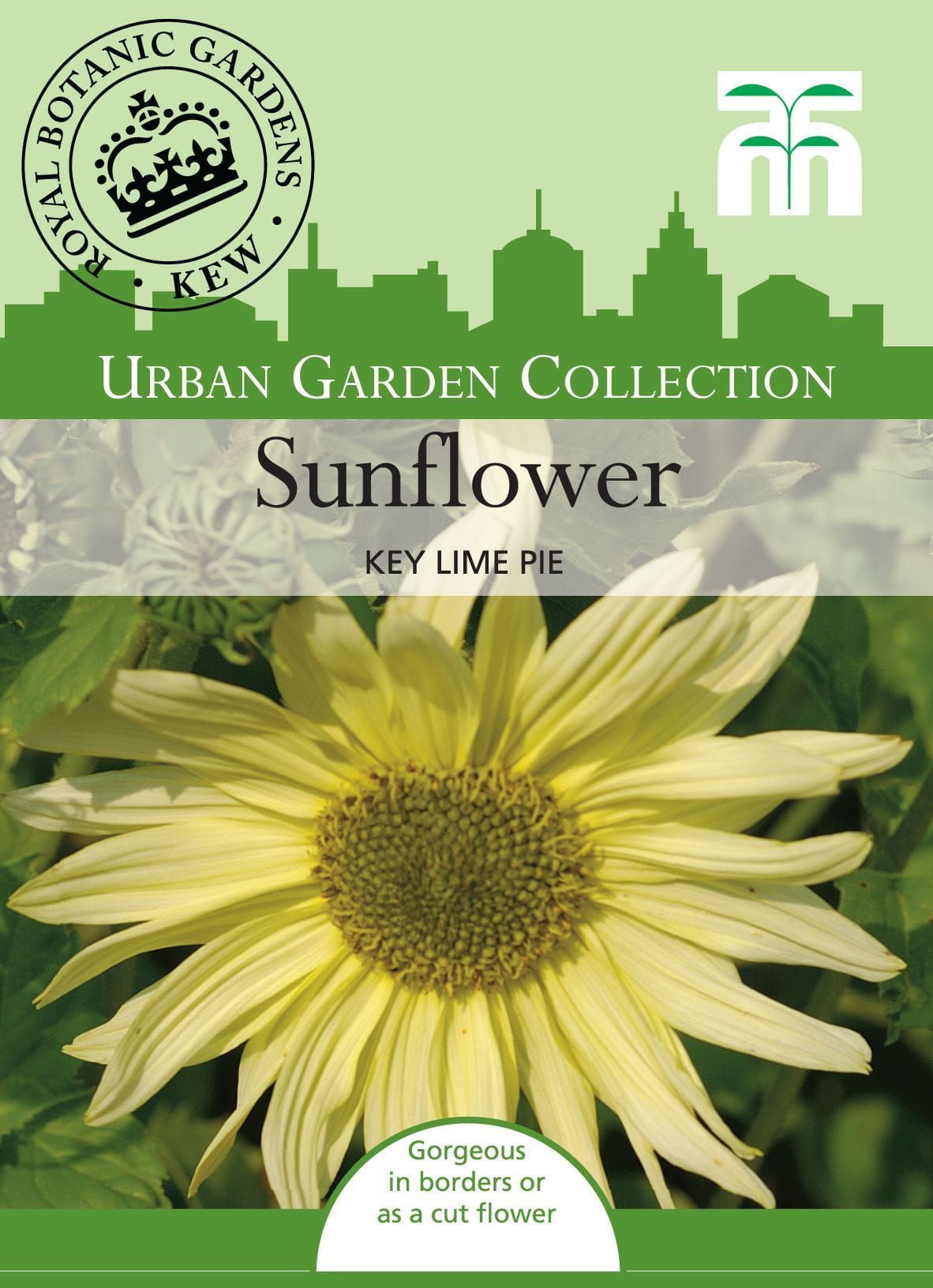 Thompson & Morgan Urban Garden Flowers Sunflower Key Lime Pie 30 Seed