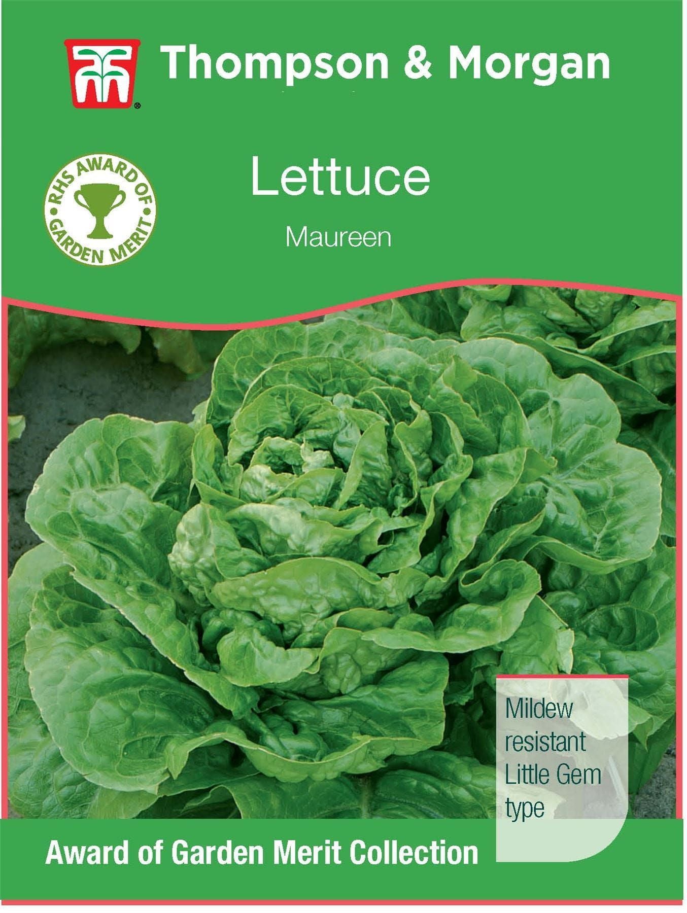 Thompson & Morgan - RHS Vegetable - Lettuce - Maureen - 175 Seeds