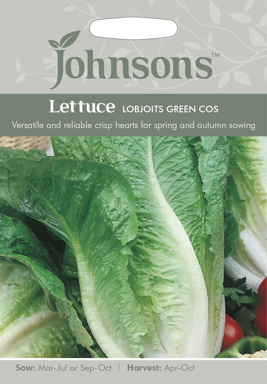 Johnsons Lettuce Lobjoits Green Cos 1250 Seeds