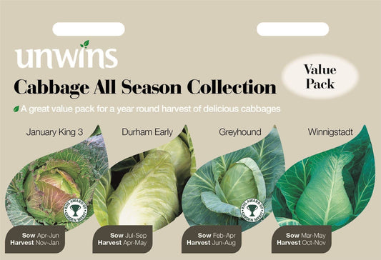 Unwins Vegetable Cabbage All Season Collection 200 Seeds