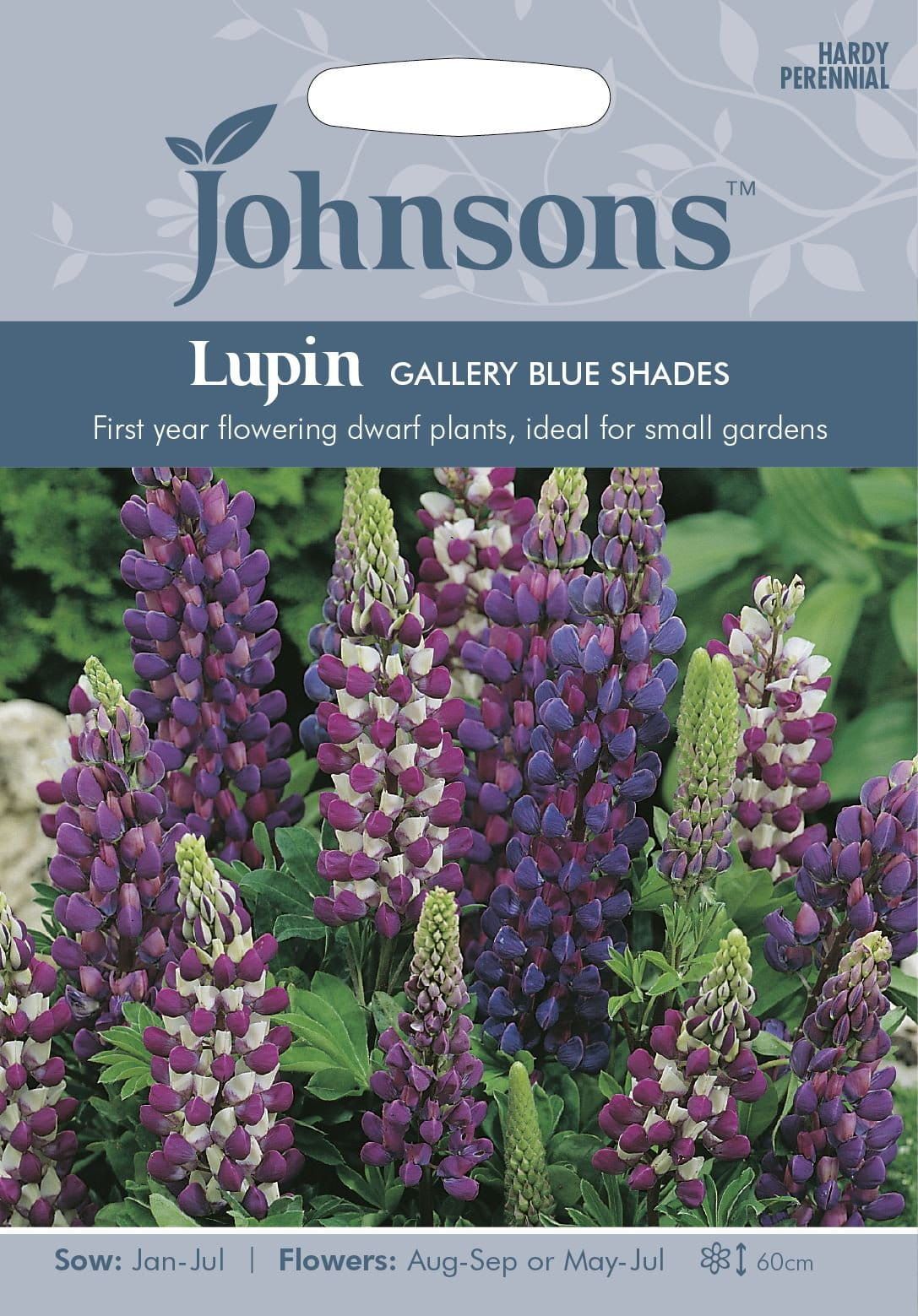 Johnsons Lupin Gallery Blue Shades 20 Seeds