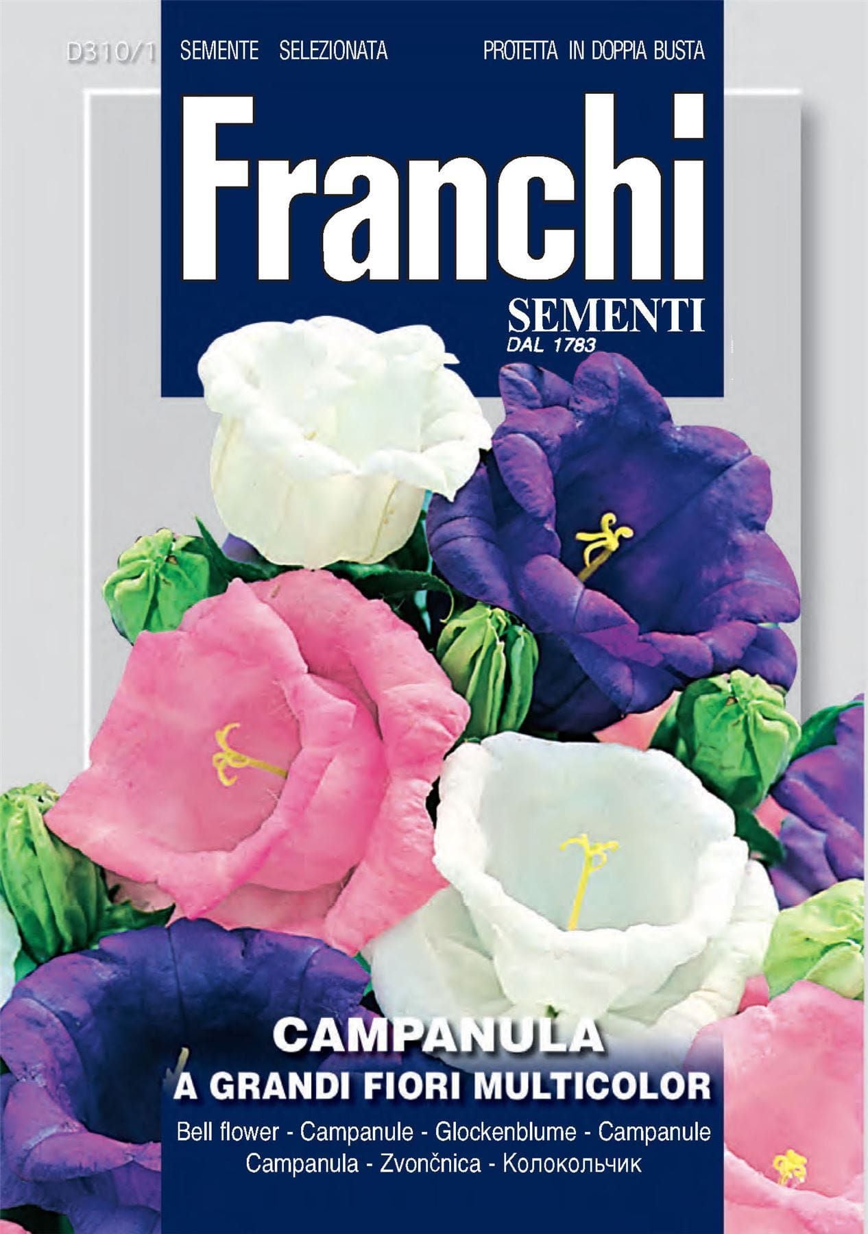 Franchi Seeds of Italy - Flower - FDBF_ 310-1 - Campanula gradiflora mix - Canterbury Bells - Seeds