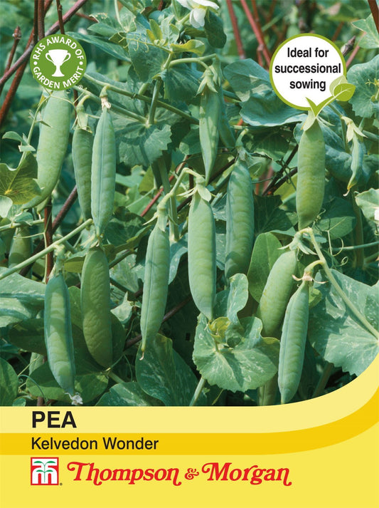 Thompson & Morgan Pea Kelvedon Wonder 250 Seed