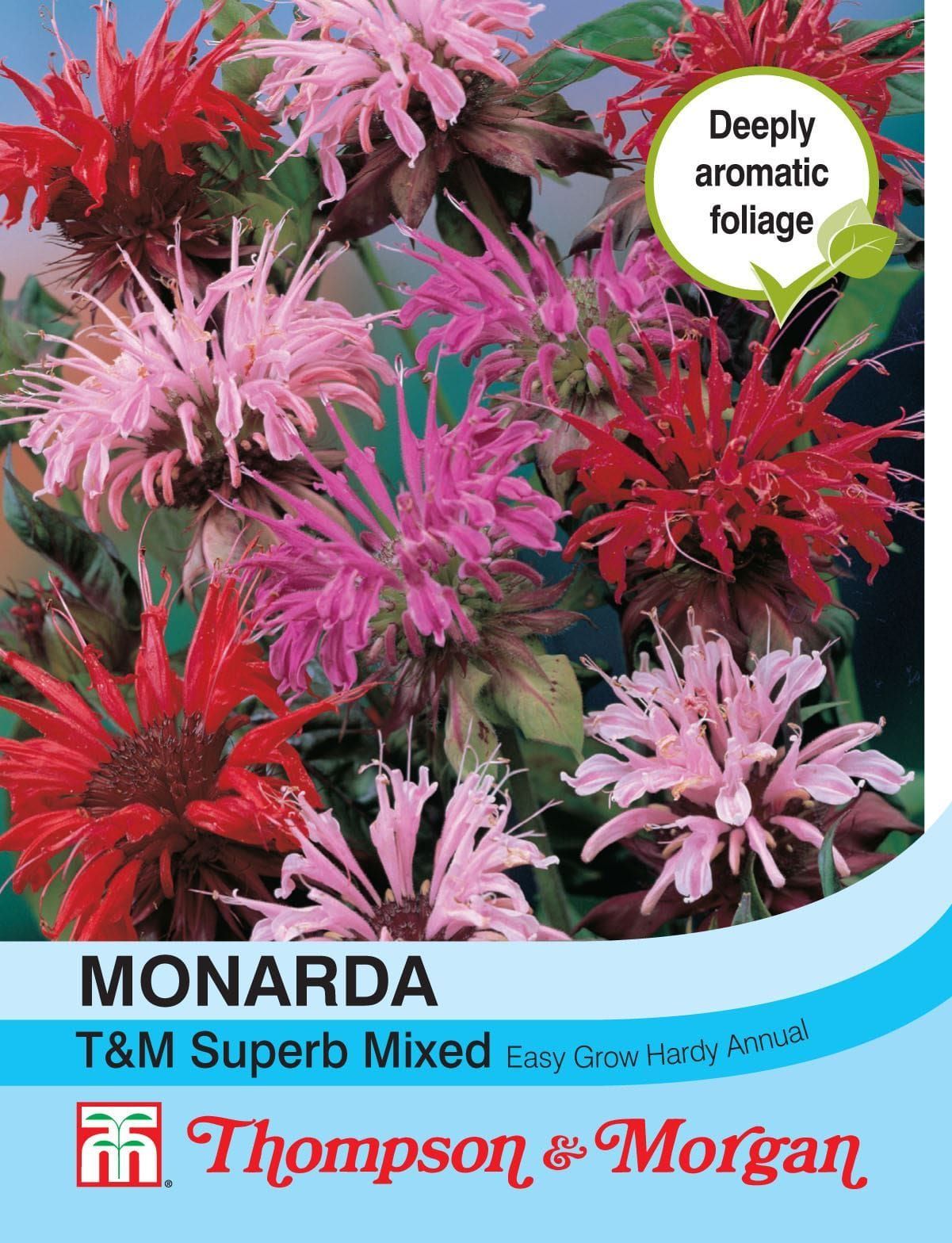 Thompson & Morgan Monarda T&M Superb Mixed 80 Seed