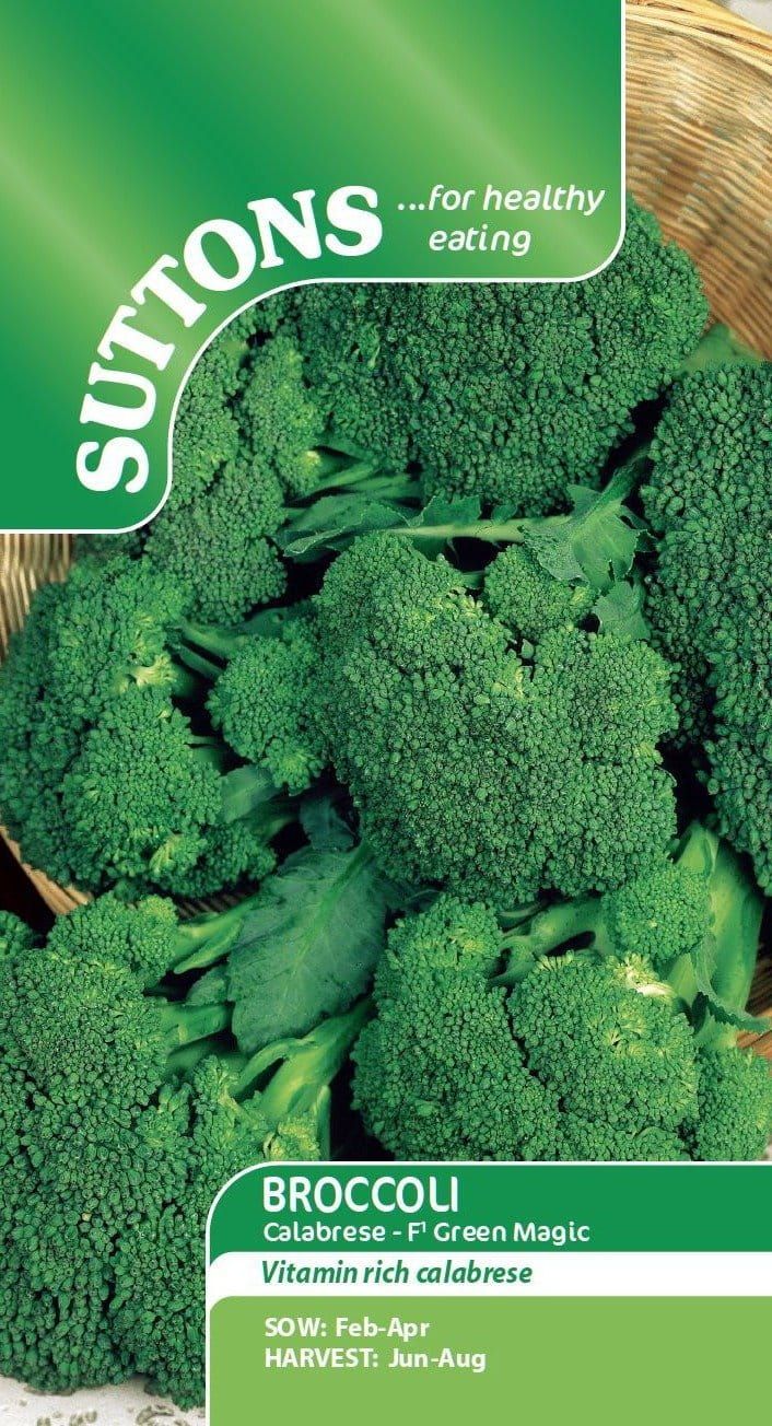 Sutton Seeds - Broccoli Seeds - F1 Green Magic