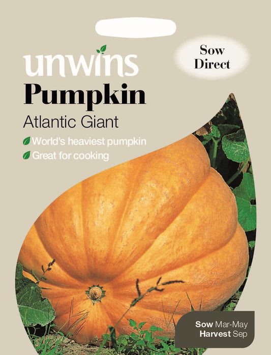 Unwins Pumpkin Atlantic Giant 7 Seeds